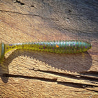 Shell Shock (Bluegill)