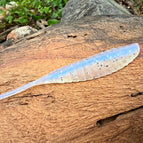 Ghost Gizz (Gizzard Shad) / 4.25”