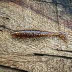 2.5” / Pine Tree Shilling (Golden Shiner)