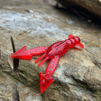 Redcoat (Red w/ Blue Flake)