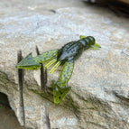 Green Dragon (Green Pumpkin)