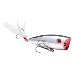 Collection image for: Bass Topwater