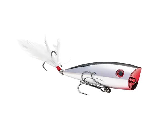 Strike King KVD Splash - Carolina Chrome