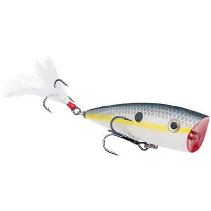 Strike King KVD Splash - Sexy Shad