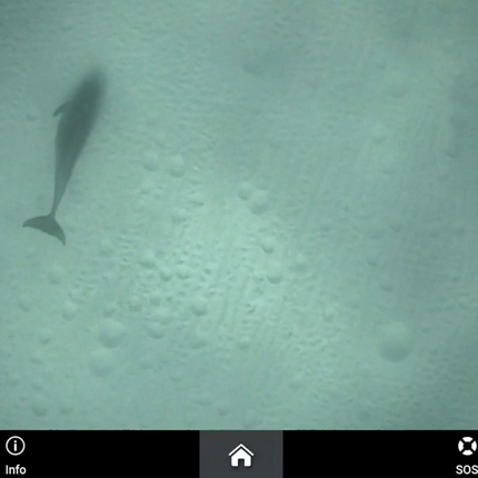 Rover T1 - Transom Mount Underwater Camera