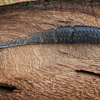 5.5” / Bayonet (Grey Shiner)