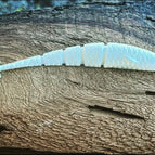 5.5” / King George’s Wig (White)