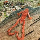 Tribe Oneida (Fire Craw)