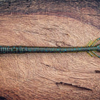 Huzzah! (Okeechobee Craw)