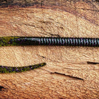 Bugle (Green Pumpkin w / Purple Flake)
