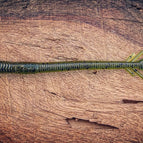 Green Dragon (Green Pumpkin)