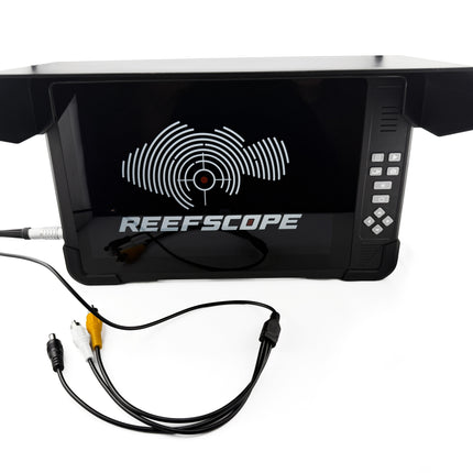 Sentinel 10" Portable Display