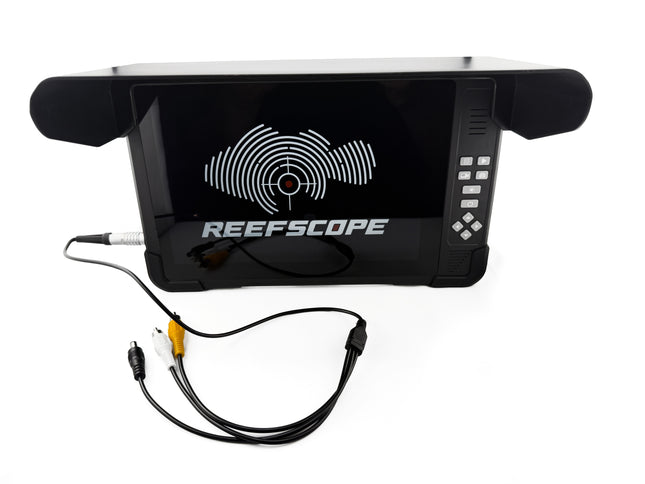 Sentinel 10" Portable Display